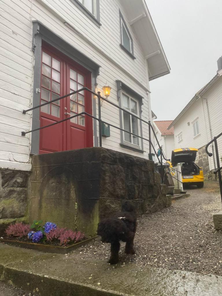 200 M Til Alt To Everything Egersund Luaran gambar